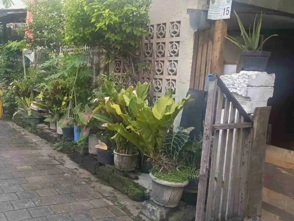 Jual Tanah Murah Luas 1.95are + Bangunan Lokasi Monang Maning Denpasar Selatan