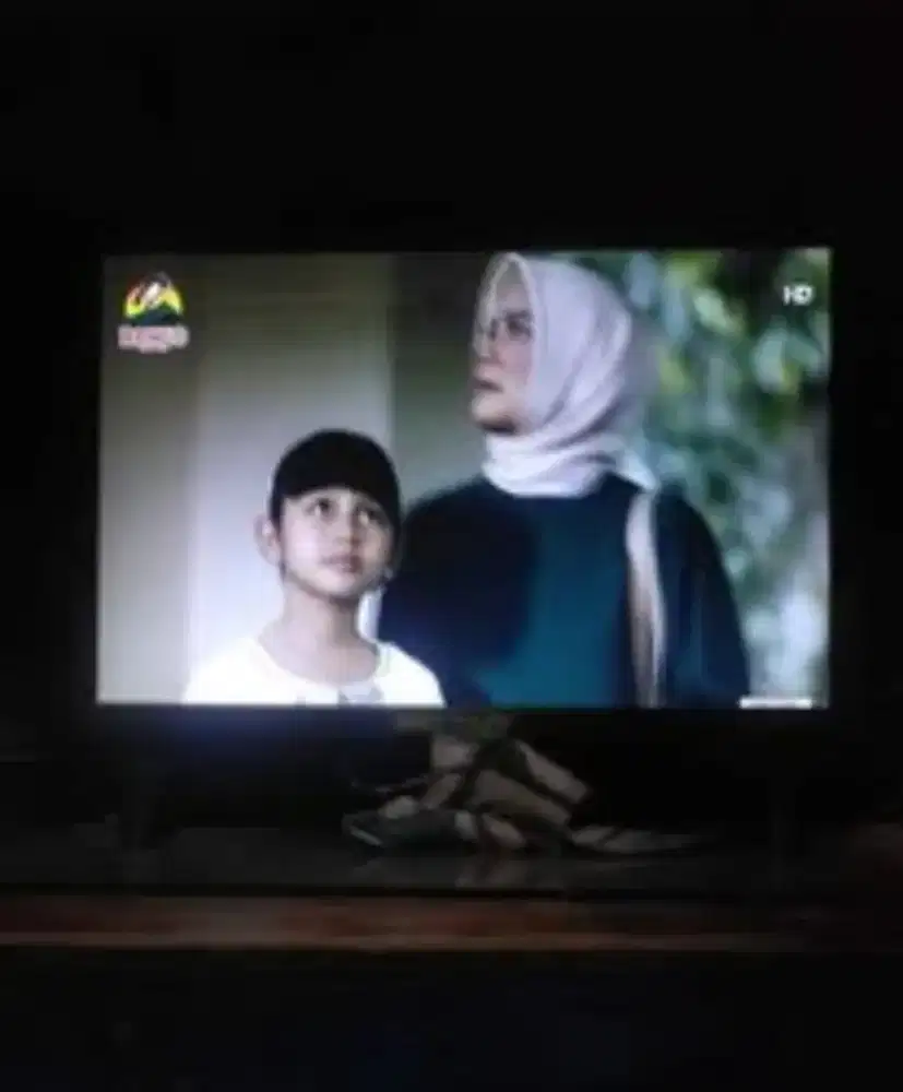 Tv merk Animax 21 inc