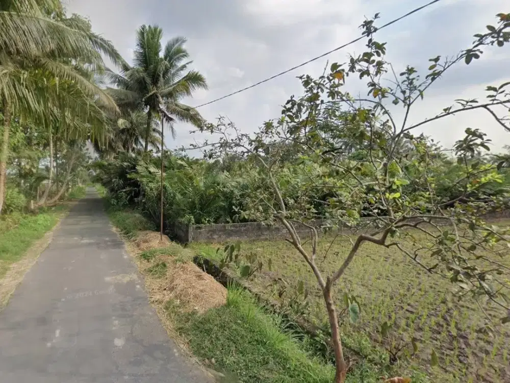 TANAH SAWAH 1227 M2 COCOK UNTUK VILLA, DONOHARJO, NGAGLIK, SLEMAN, JOGJA