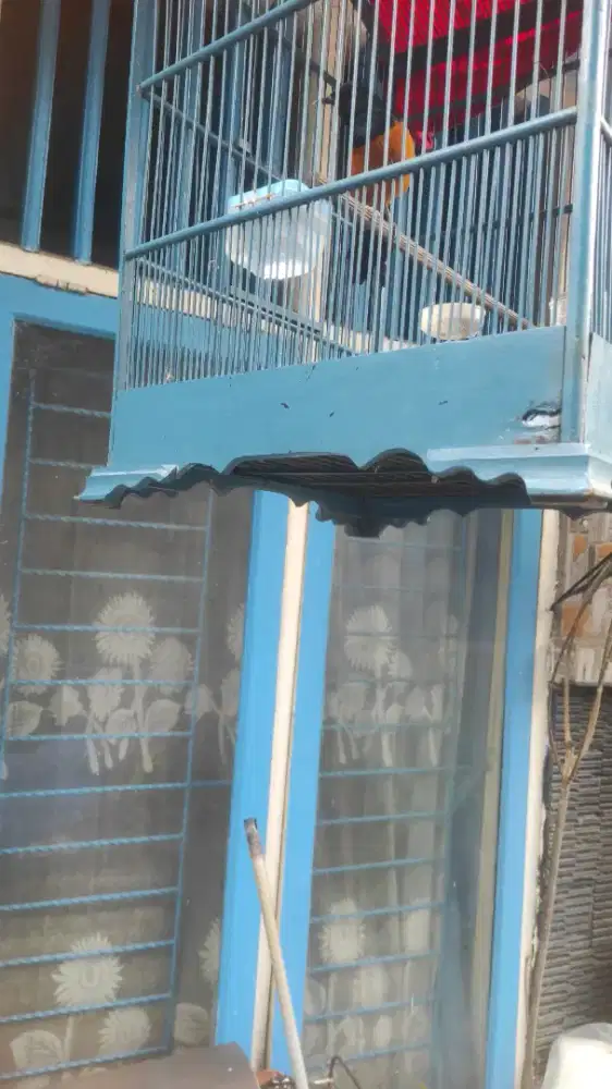 nias rajin bunyi dirawat 1.5 taun fullset