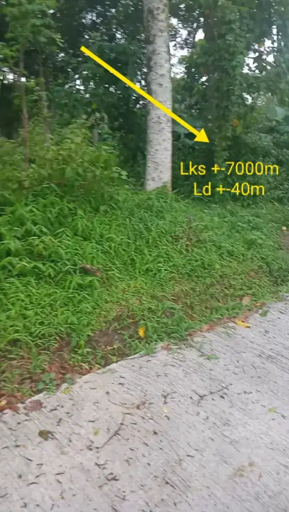 Jual tanah lokasi teras Boyolali luas 7000mtr hrg 800rb/MTR nego