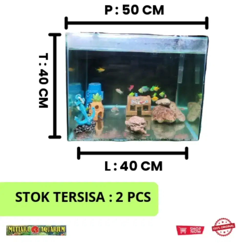 AQUARIUM BEKAS UKURAN 50 X 40 X 40 CM ( 99% LAYAK PAKAI )