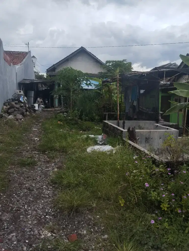 Tanah bonus rumah ( harga miring)