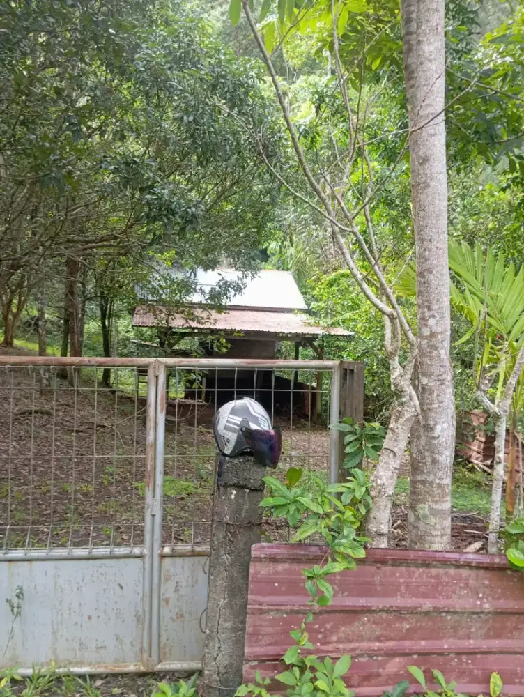 Dijual kebun lokasi jln Mataie luas 3120mtr