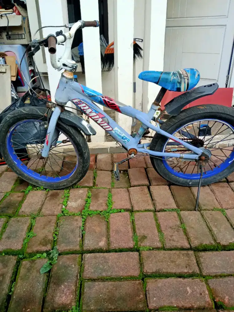 Sepeda anak apa adanya