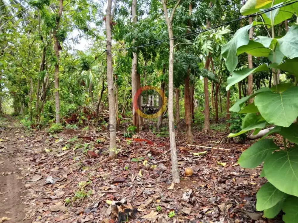 Kavling di Karimunjawa