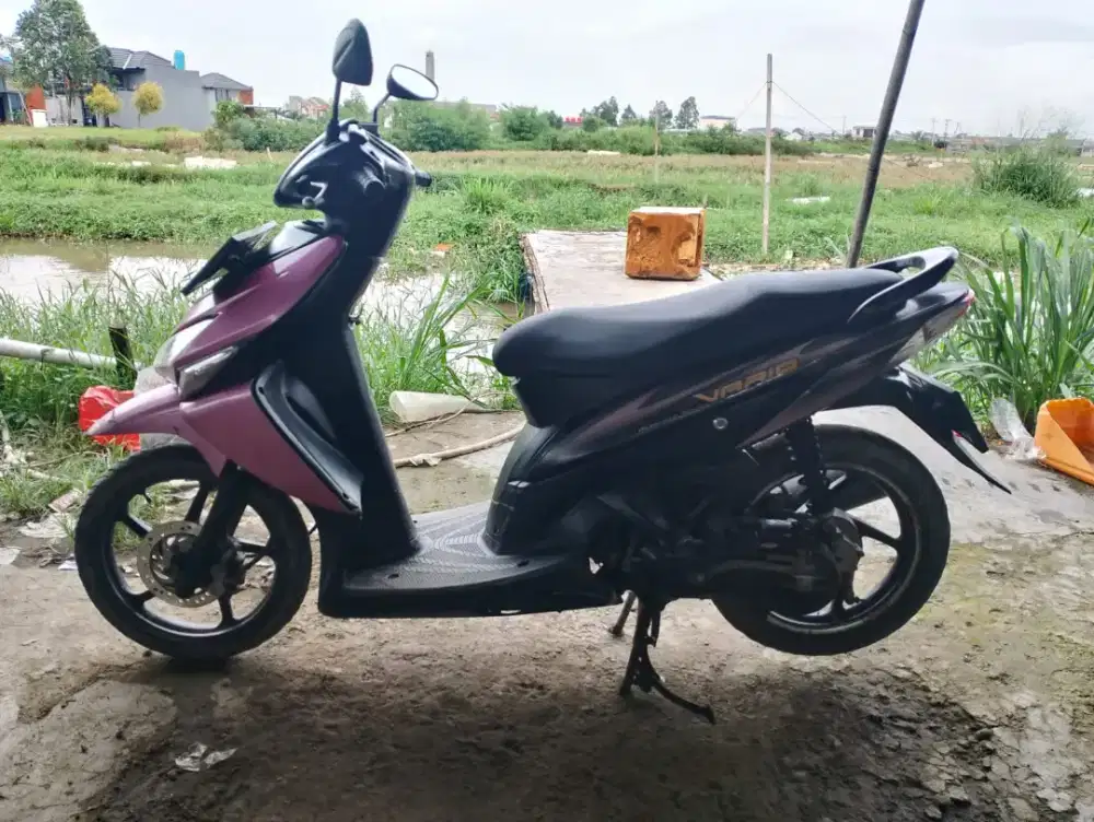 Motor Vario 110