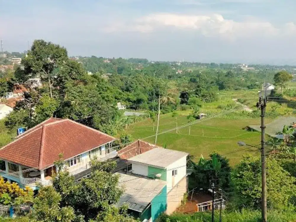 DIJUAL KEBUN DURIAN SUDAH BERBUAH DI CIJERUK BOGOR