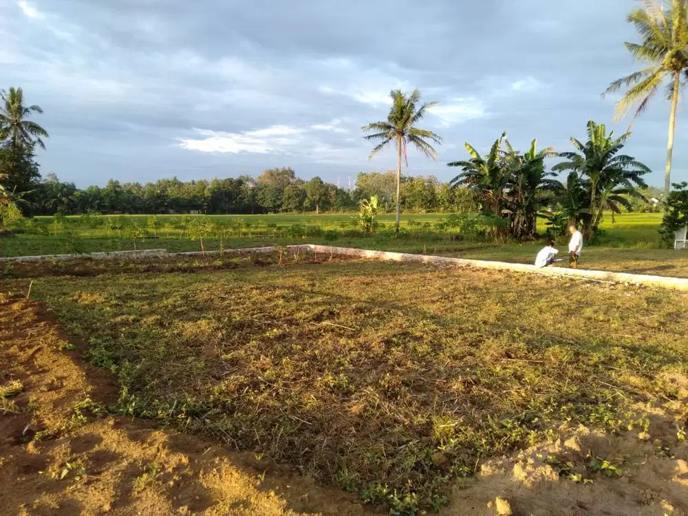 Tanah datar siap bangun Lokasi dekat dg pasar karang anyar dan untung