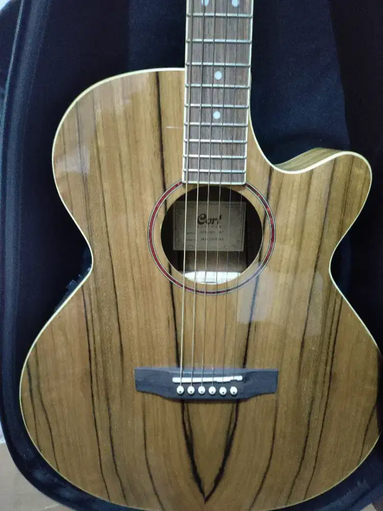 Gitar Cort Sfx Dao Nat & Bag Voltage Rockgear 1997