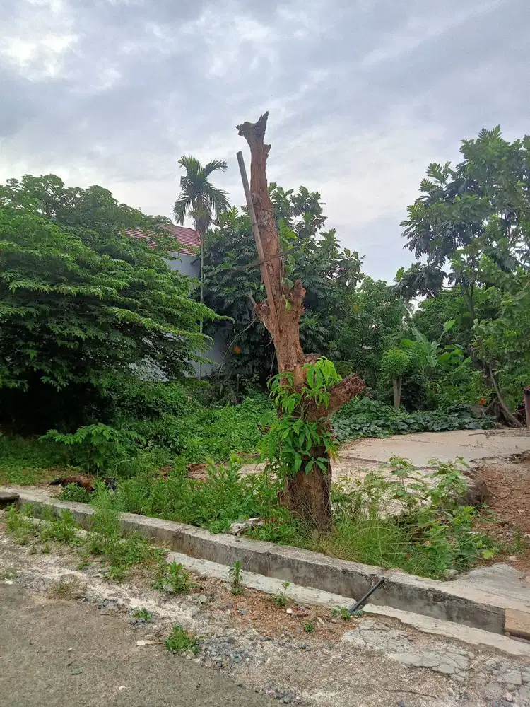 TANAH KEDAMAIAN ANTASARI PALING DEKAT KE JALAN RAYA ANTASARI