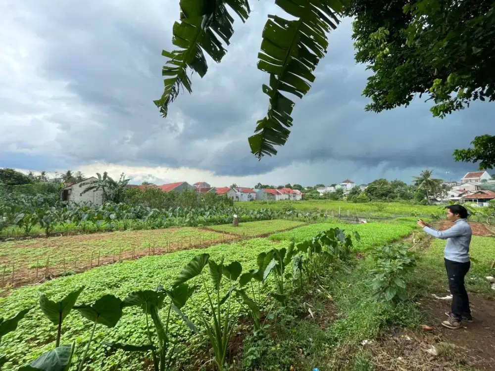 Lahan Kavling Strategis 10 Menit Stasiun Cilebut Free SHM