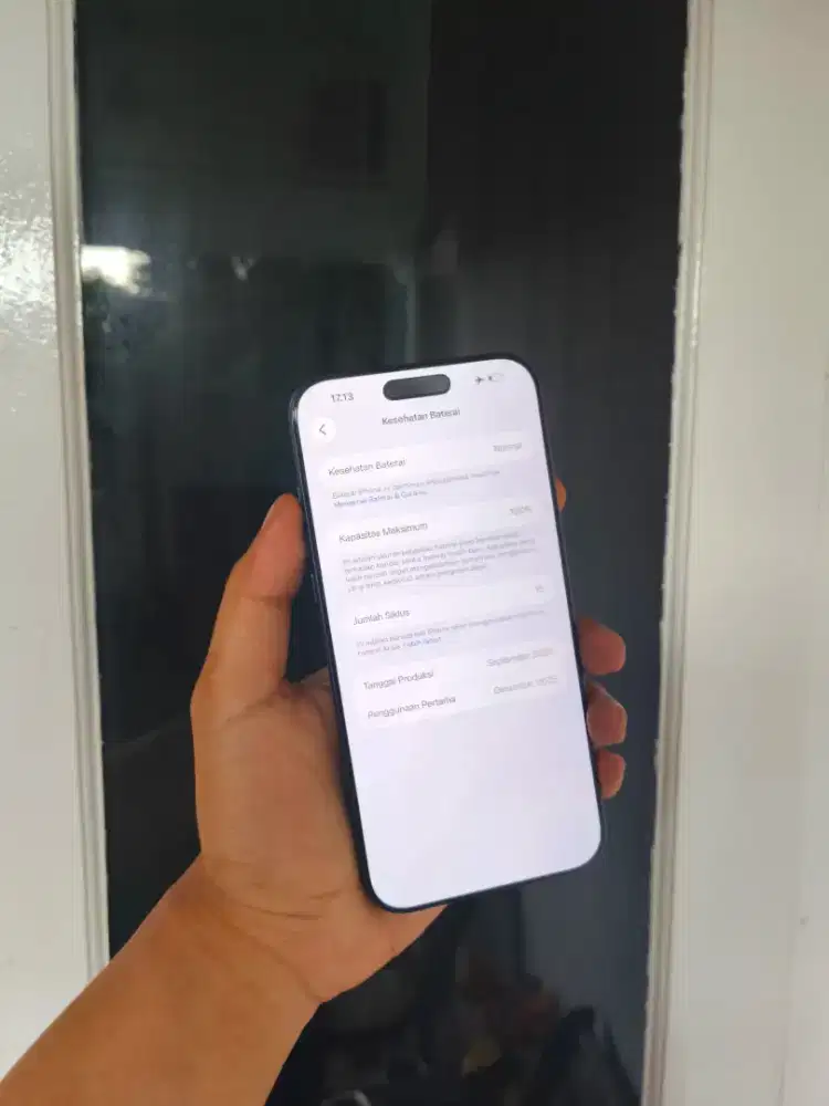 iphone 17 Pro Max 256gb iBox