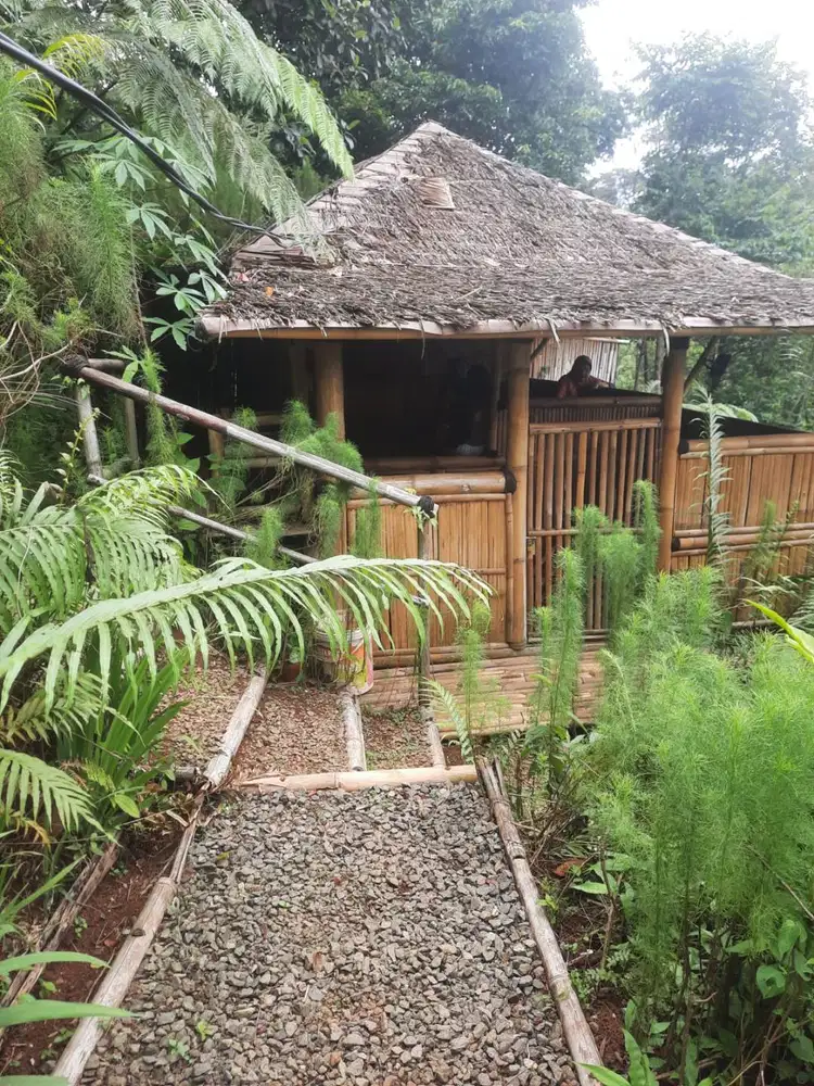 TANAH DI JUAL CEPAT ADA RUMAH BAMBU  LUAS 1100 M² HARGA 125 JT NEGO