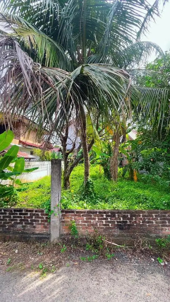 Tanah di Jual Segera !!! (nego)