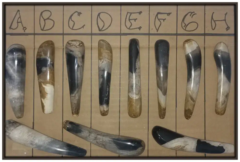 Alat Pijat Dari Fosil Kelur