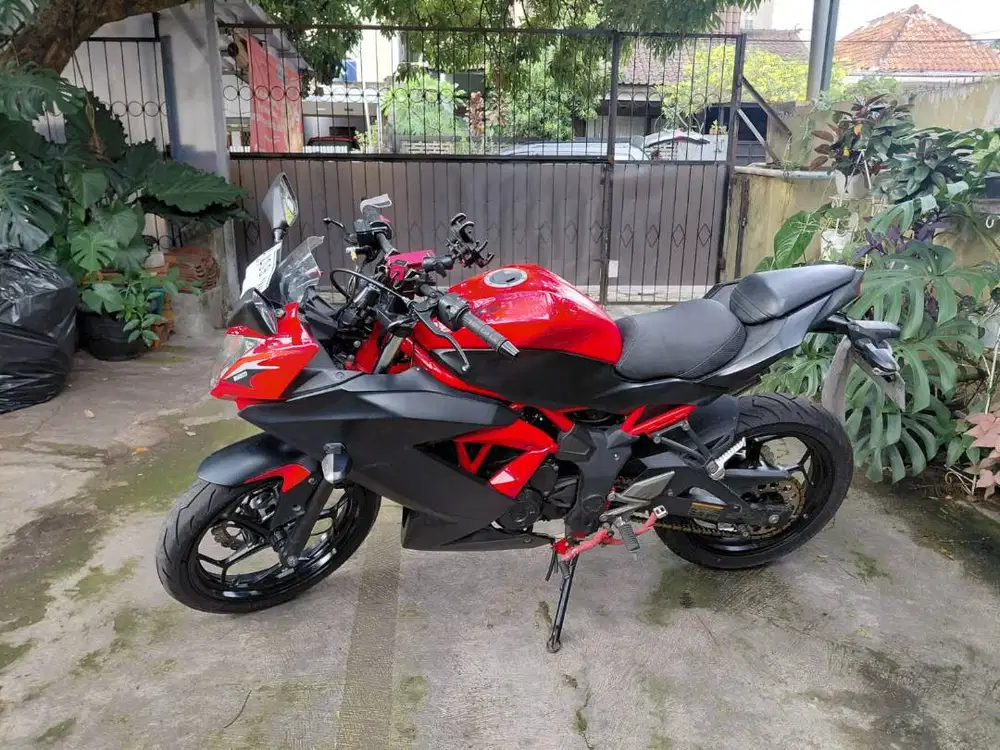 Ninja 250 SL/ Ninja Mono