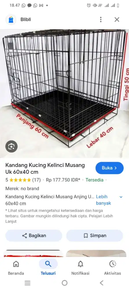 Kandang kucing baru
