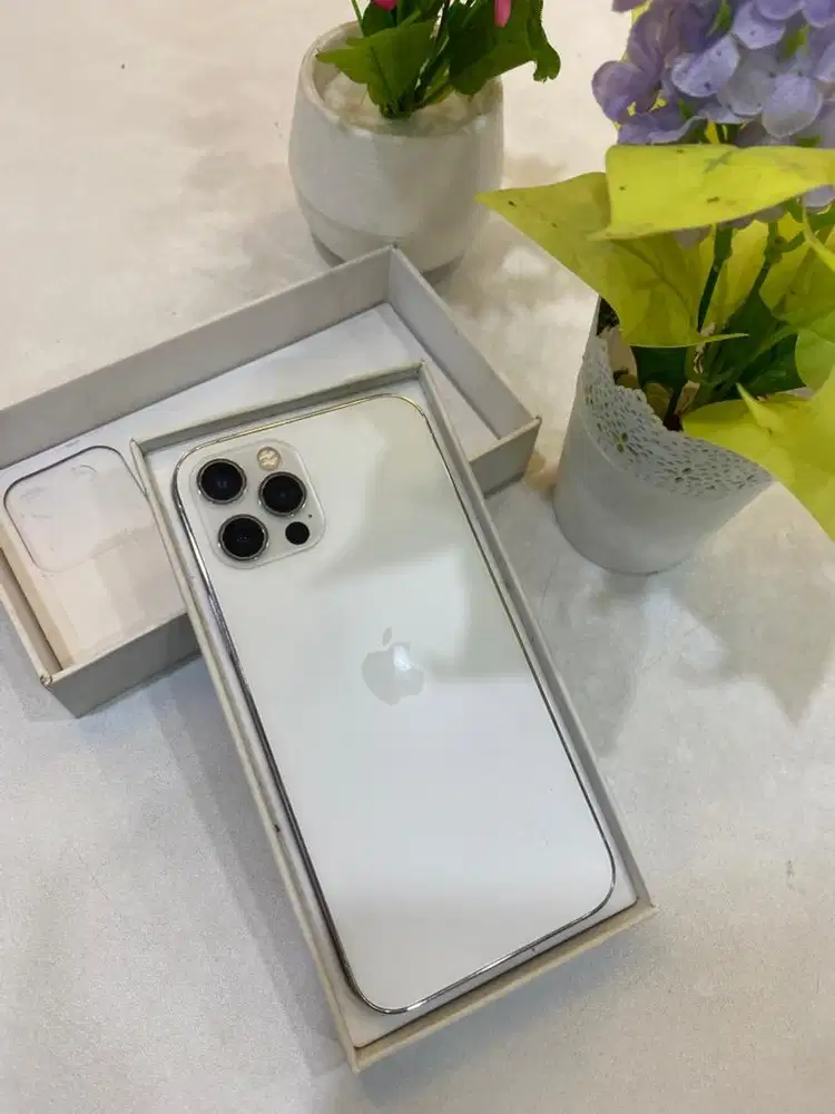 Iphone 12 pro 256gb inter all operator