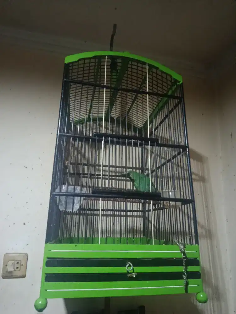 Kandang Kotak No. 3 Siap Pakai