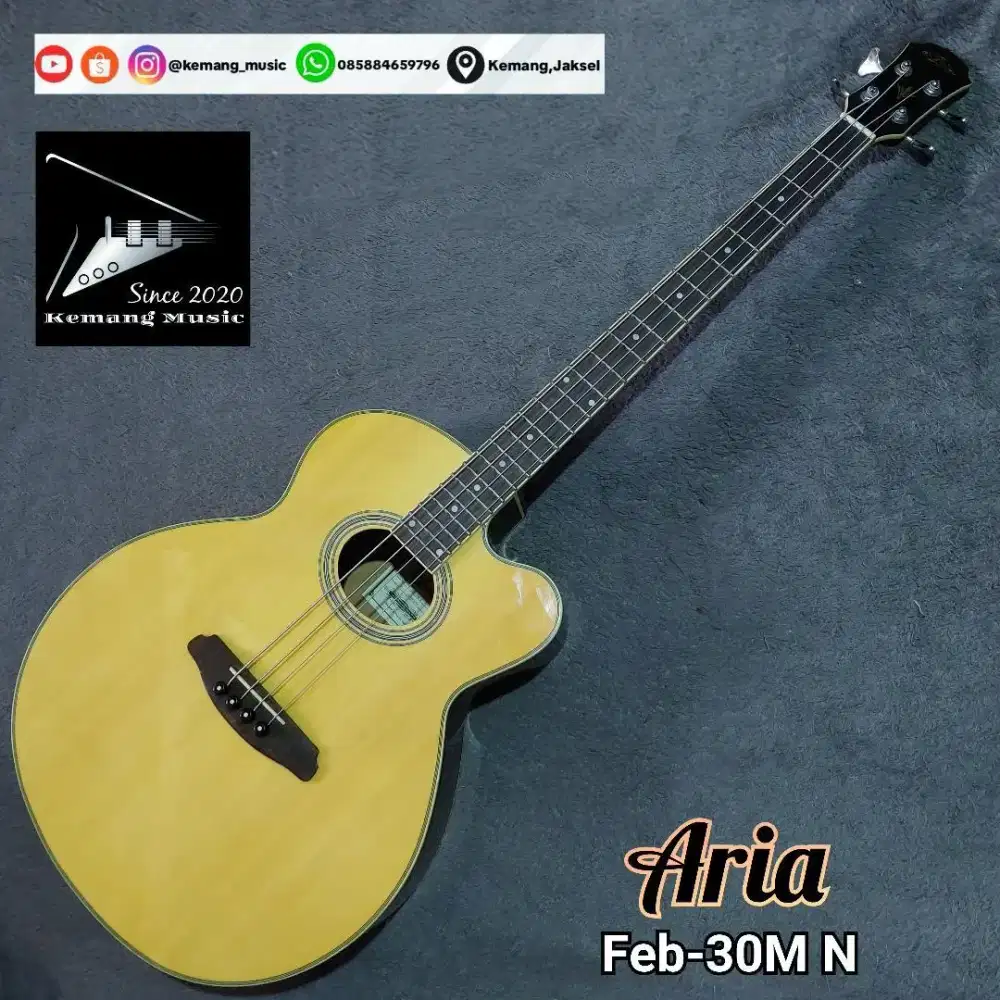Bass akustik elektrik aria feb30m original pastinya