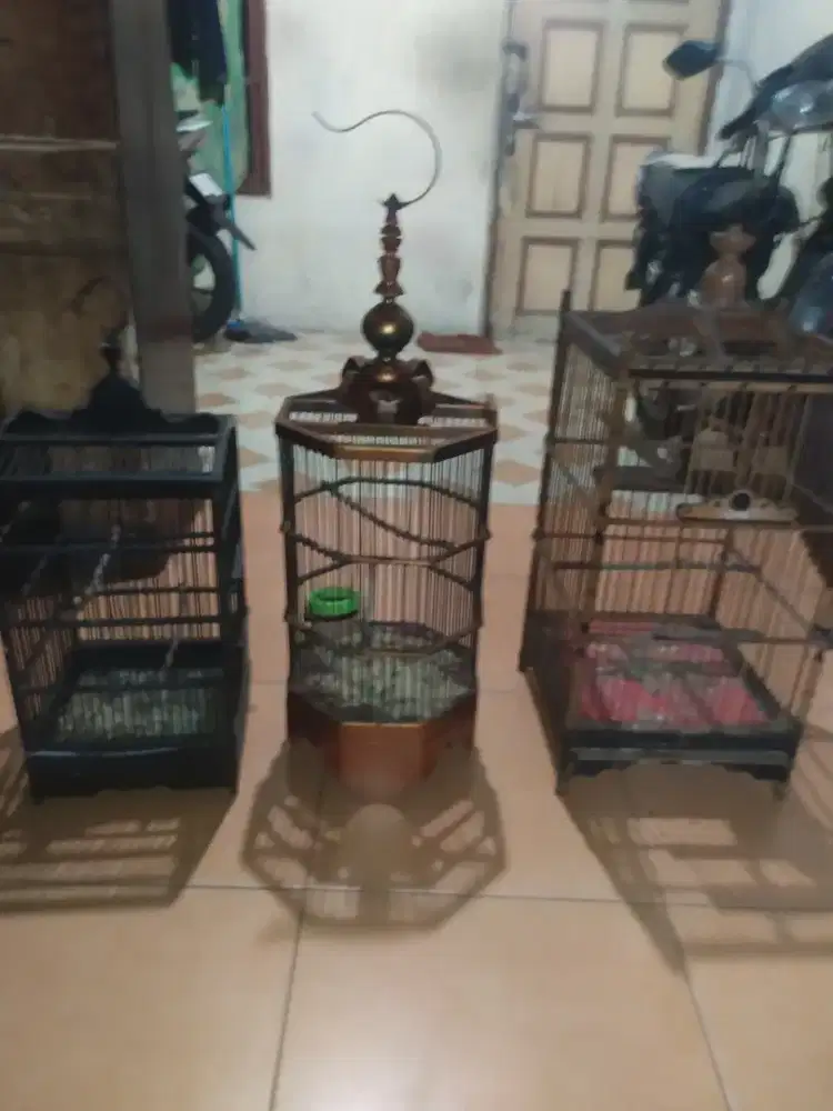 Jual aja semua, kalo minat ambil ke rumah