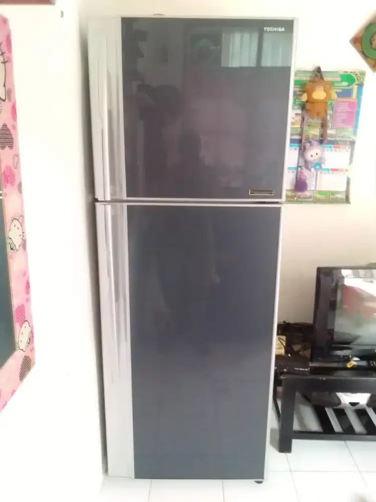 Kulkas Toshiba 2 pintu normal
