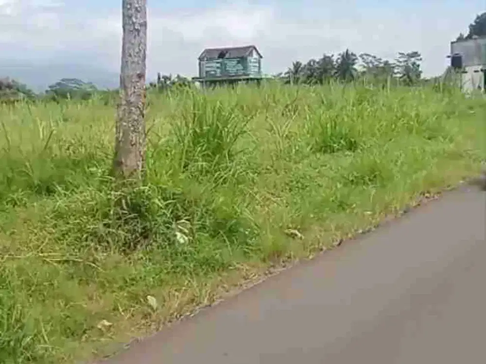 TANAH DATAR SUBUR POROS JALAN DESA CEPOKOMULYO KEPANJEN