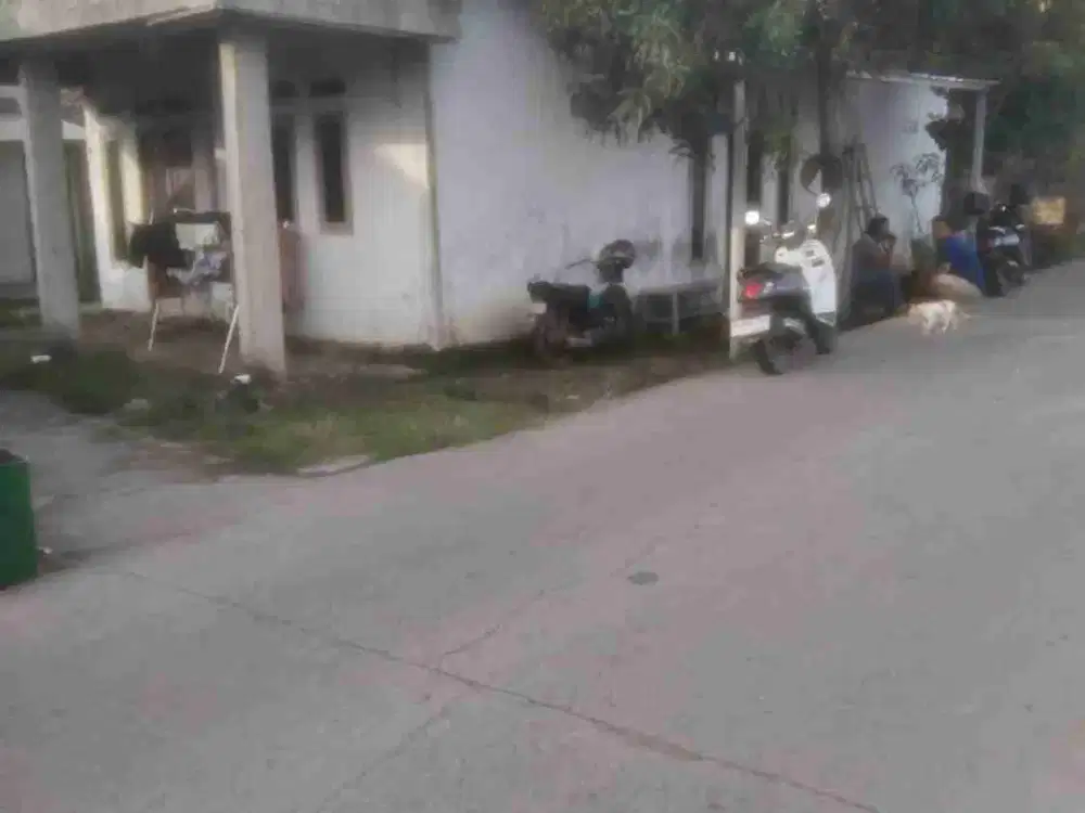 Luas 146 Meter Pinggir Jalan Desa