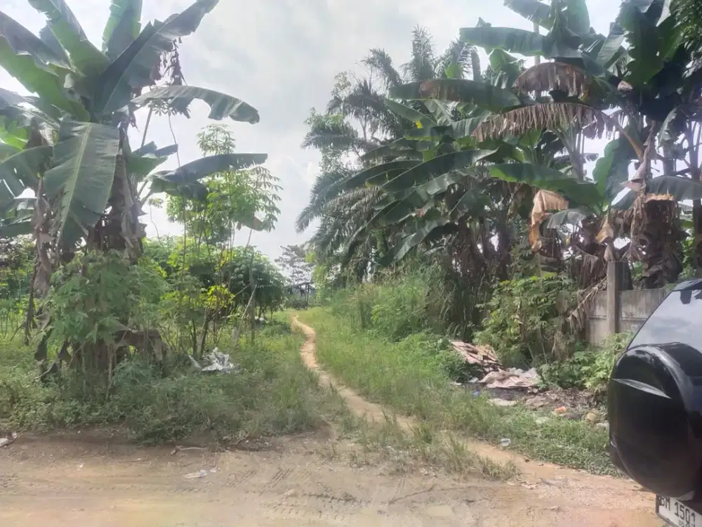 Dijual Tanah Strategis Legalitas SHM di Jl. Hakim, Siak Hulu, Kampar (Akses Jl. Raya Pasir Putih)