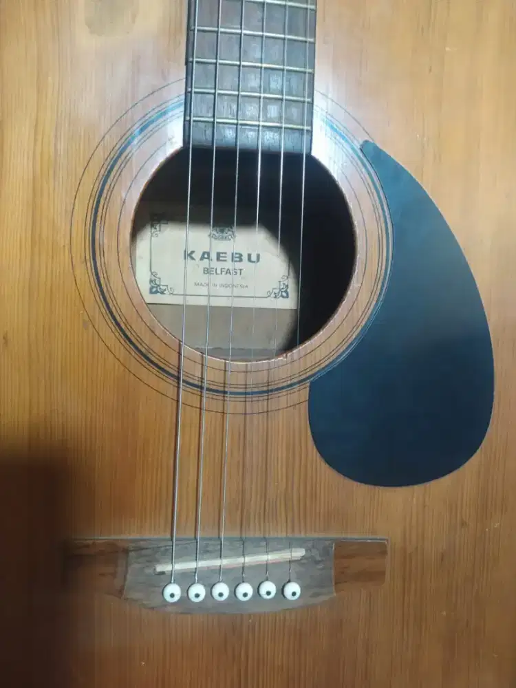 Gitar Kaebu Langka Koleksi, NEGO