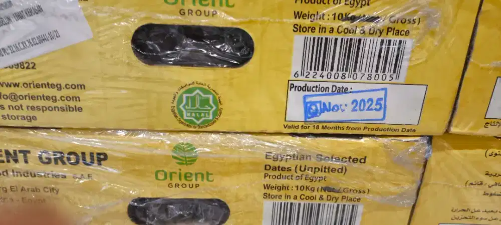 Jual kurma fresh importir langsung