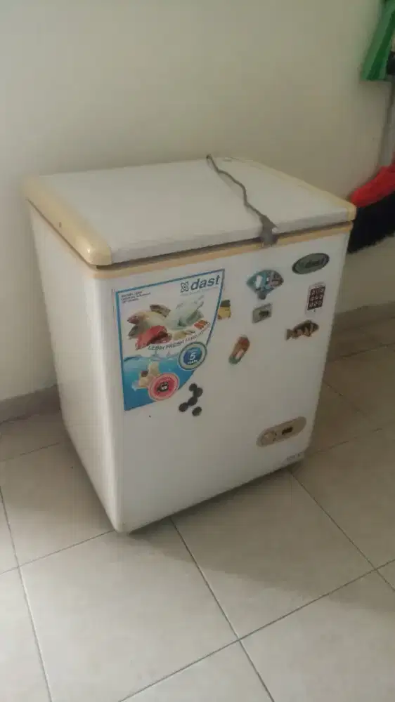 Freezer Dast 100 lt