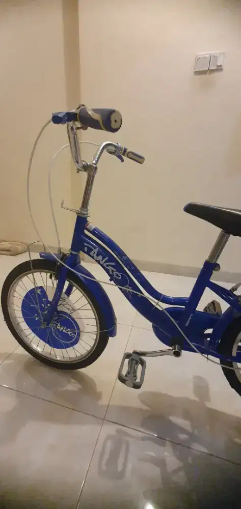 Sepeda anak 16 inci