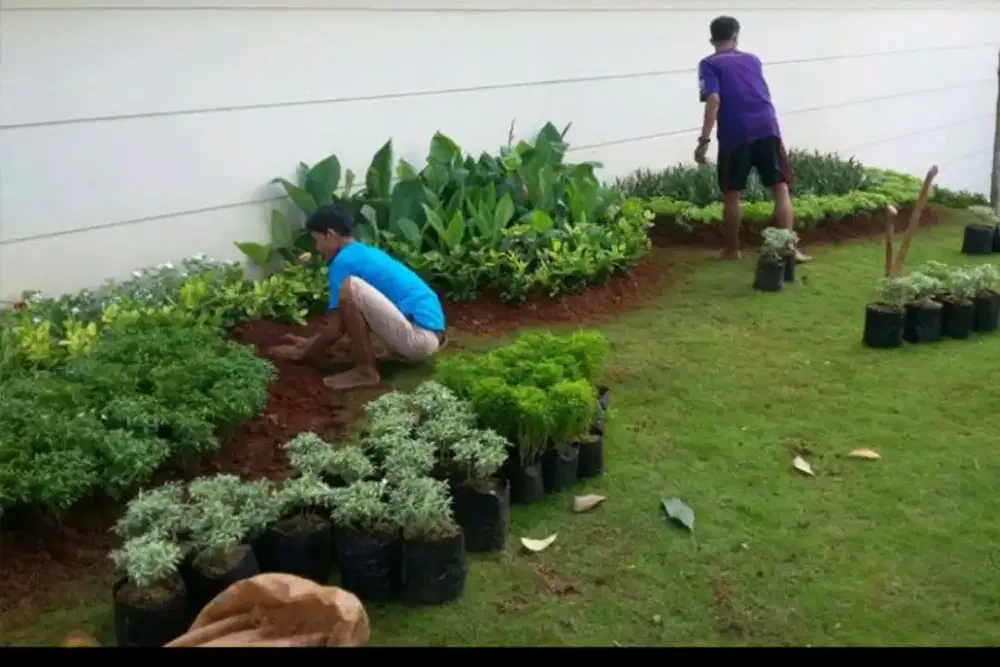 Menerima pembuatan taman rumah outdor