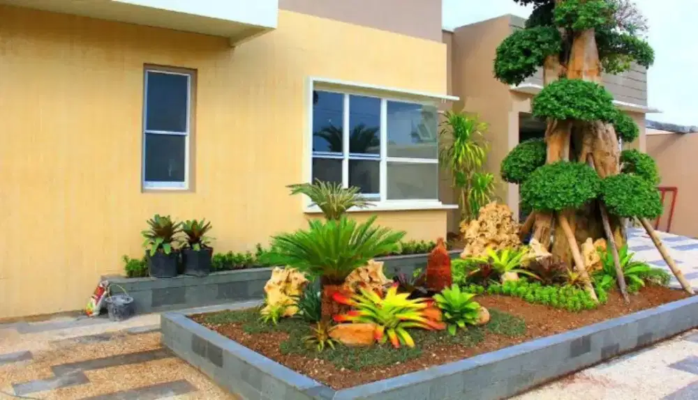 Taman pohon bonsai taman Nasional minimalis