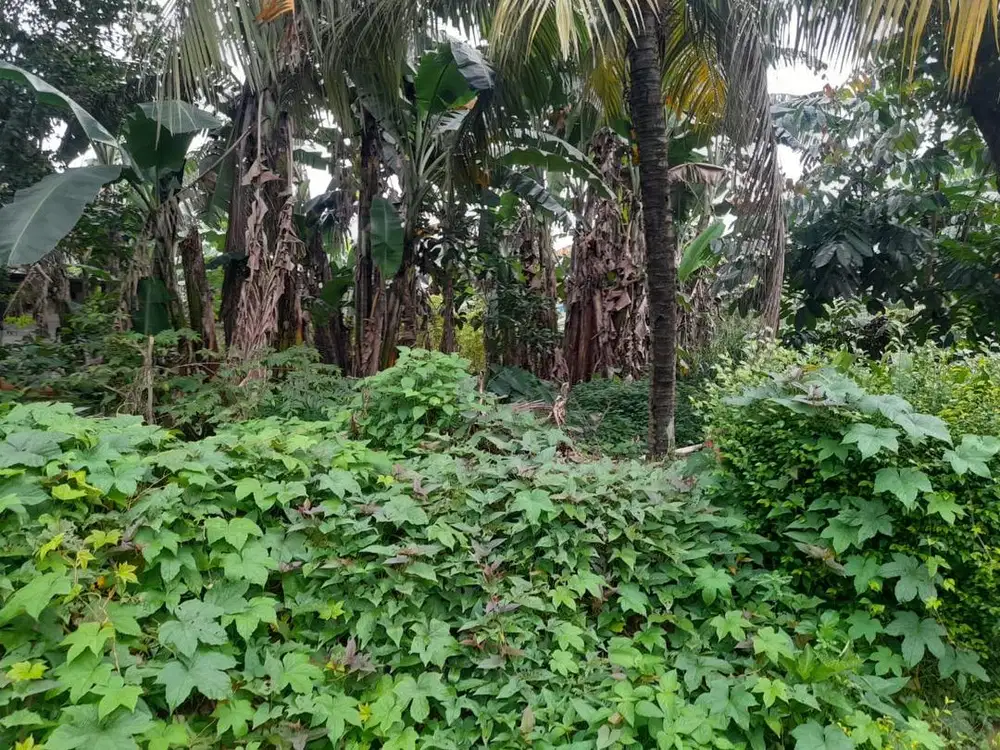 Dijual tanah darat seluas. 154 m