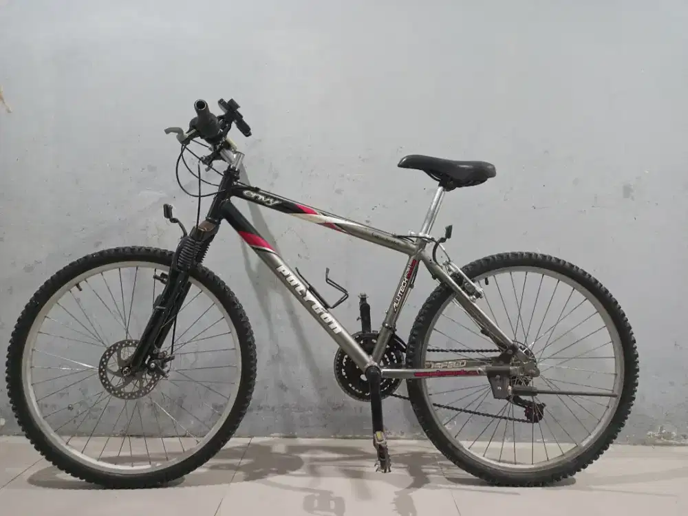 POLYGON ENVY 26inchi