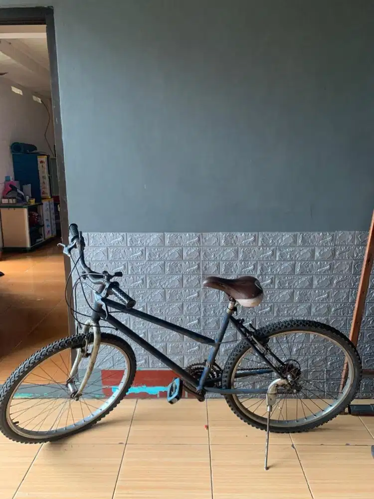 Sepeda gunung mtb klasik vintage