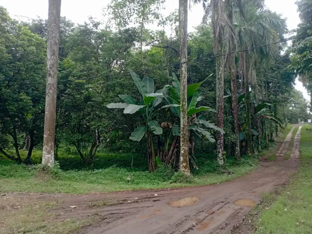 Dijual cepat tanah kavling bagus untuk villa