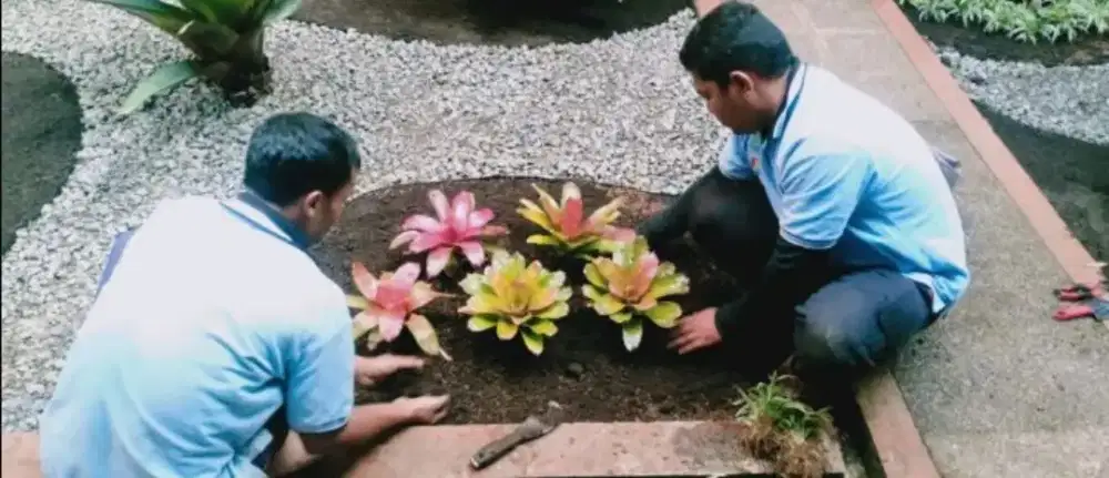 Pembuatan taman kering dan pohon lain pohon hias