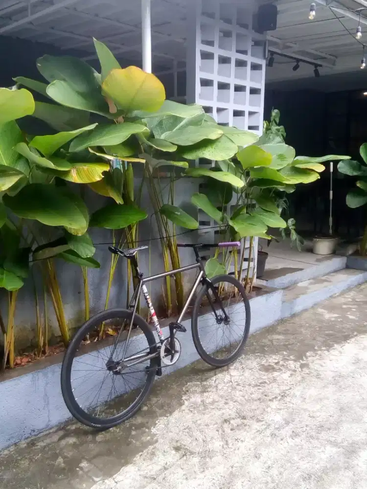 sepeda fixied doltrap