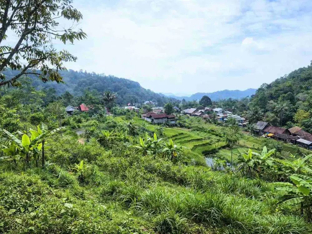 Dijual Tanah Zona Kuning Lokasi Karanganyar,Solo Luas 539m2