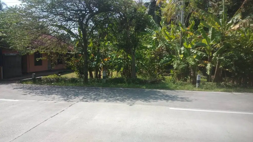 [[DISEWAKAN TANAH TAHUNAN]]