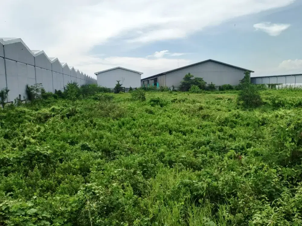 Langka Jarang Ada‼ Disewakan Tanah didalam komplek pergudangan margomulyo