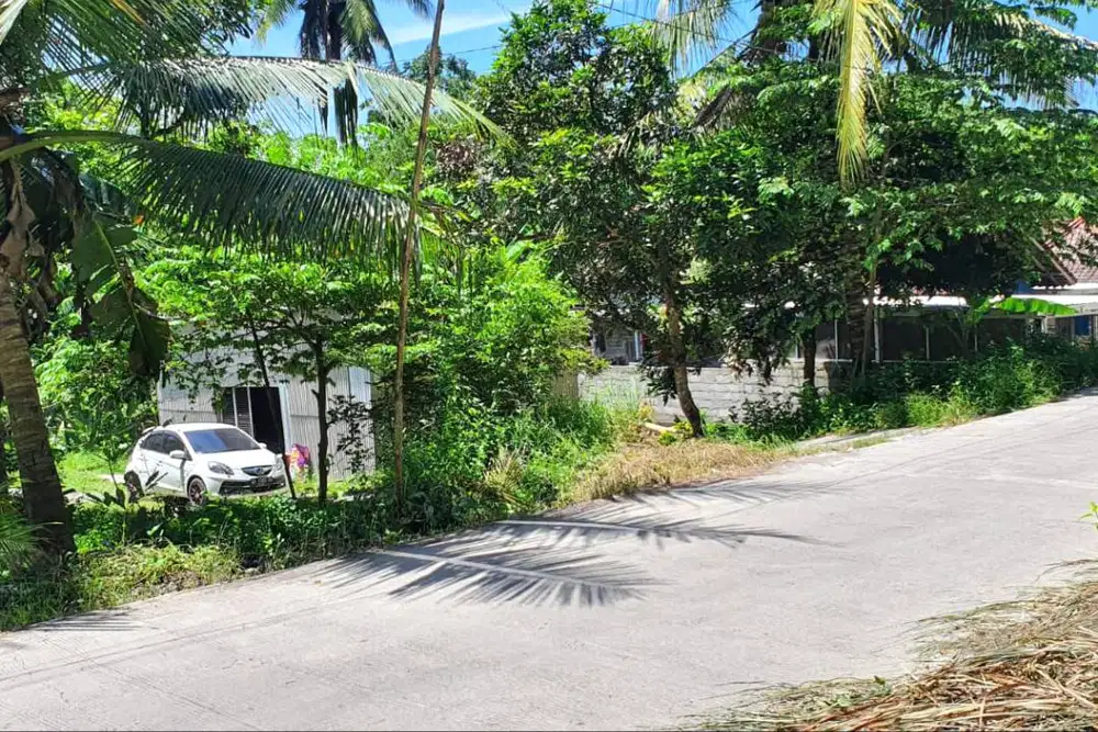 Tanah Pekarangan Apik di Balecatur Sleman