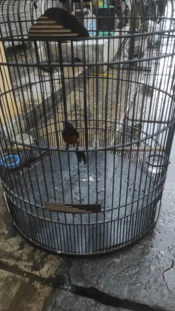 Medan gacor dor prestasi fullset