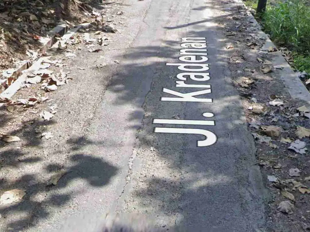 Tanah Murah tepi jl aspal kabupaten di srikayangan Sentolo Kulon Progo