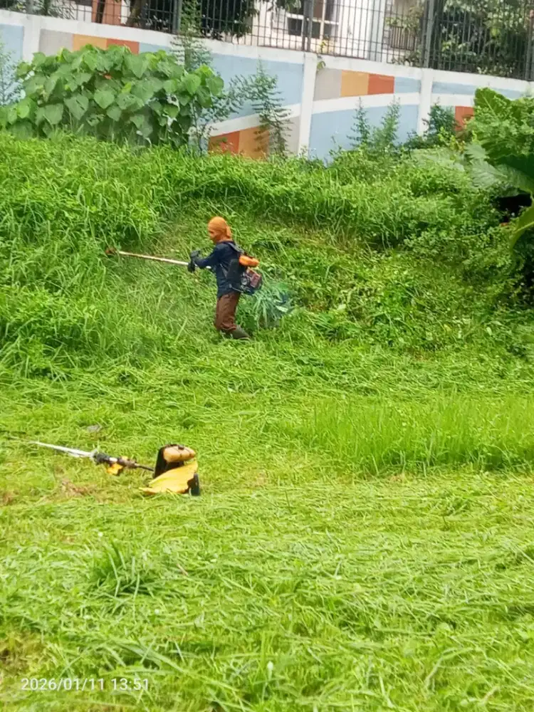 Terima jasa tukang taman potong rumput