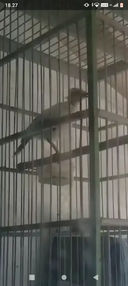 PUTER HARIAN BRISIK SUARA VARIASI 1 JUTA FULSET